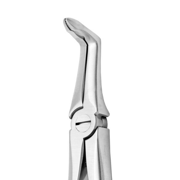 Lower Root X-TRAC  Forceps Stainless Steel - Image 2