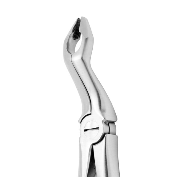 Upper 3RD Molar Forceps Stainless Steel - Image 2