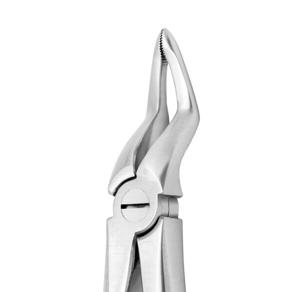 Upper Root TIP X-TRAC Forceps Stainless Steel - Image 2