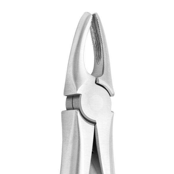 UPPER UNIVERSAL MOLAR X-TRAC FORCEPS STAINLESS STEEL - Image 2