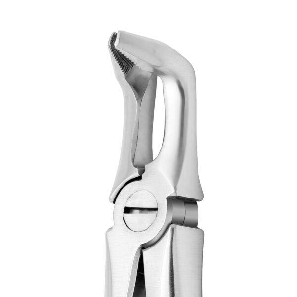 Lower Molar Extraction Forceps Stainless Steel - Image 4