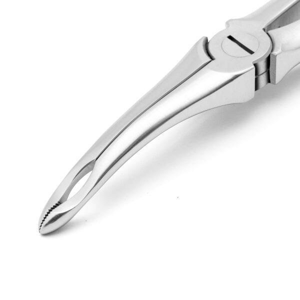 Universal Root X-TRAC Forceps Stainless Steel - Image 3