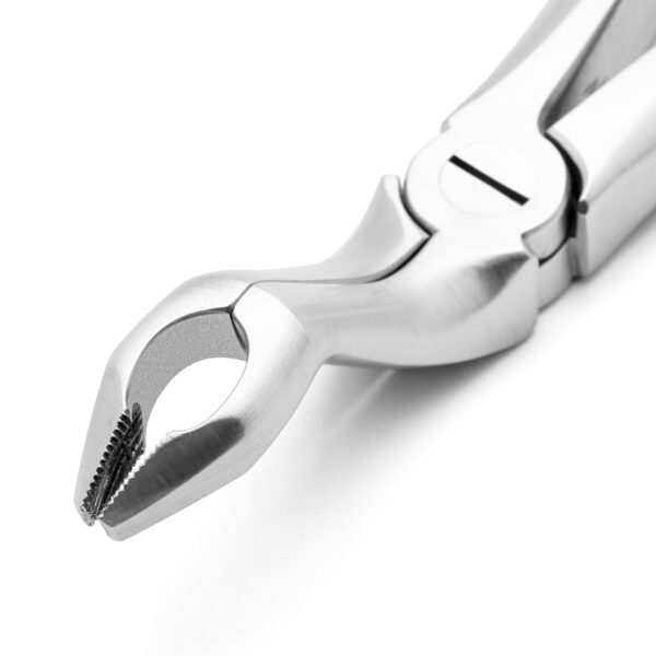 Upper 3RD Molar Forceps Stainless Steel - Image 3