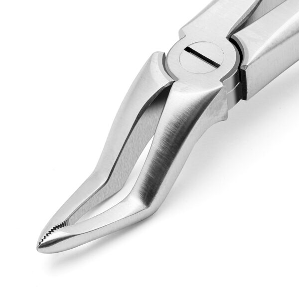 Upper Root TIP X-TRAC Forceps Stainless Steel - Image 3