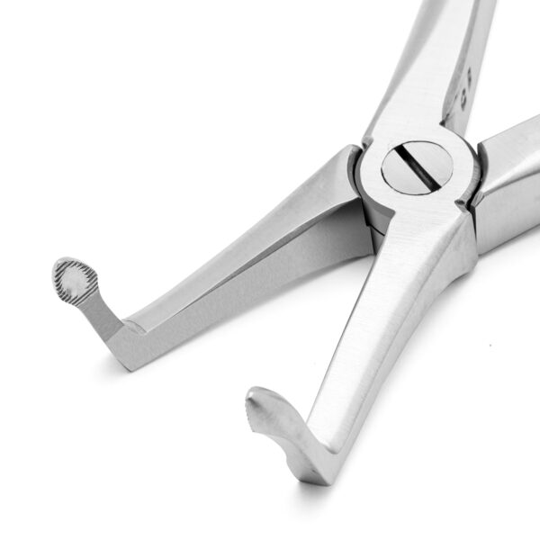 Lower Root X-TRAC  Forceps Stainless Steel - Image 4