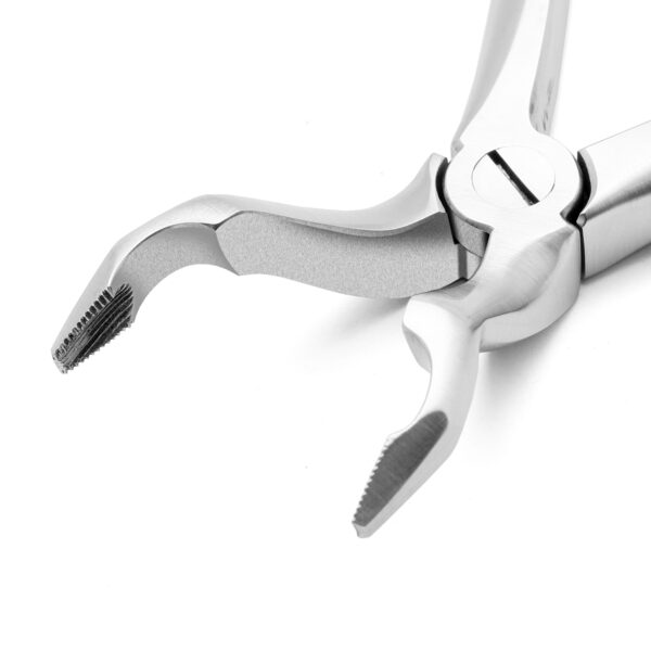 Upper 3RD Molar Forceps Stainless Steel - Image 4