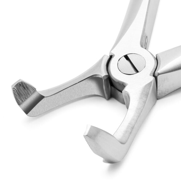 Lower Molar Extraction Forceps Stainless Steel - Image 2