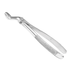 Upper Molar Extraction Forceps – Premium Japanese Stainless Steel