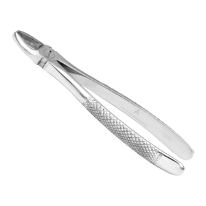 Upper Anterior  Straight Extraction Forceps Stainless Steel